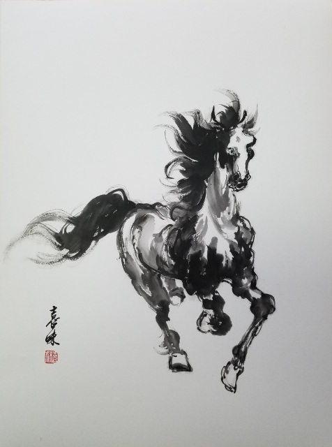 MEGREZ Yidege Practice Ink Chinese Brush Ink Sumi Ink for Beginner Practice  Chinese Japanese Calligraphy Liquid Ink, Black - 500ml(17.6 OZ)/Bottle